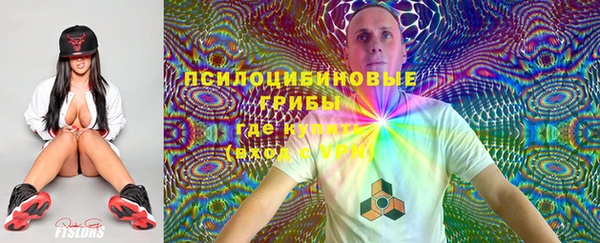 СК Арсеньев