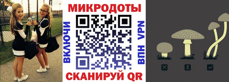 Псилоцибиновые грибы Psilocybe  ОМГ ОМГ онион  Балашов 